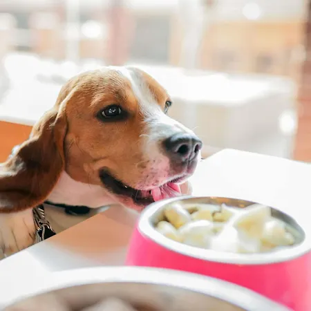 Ibis Mitte 3* برلين