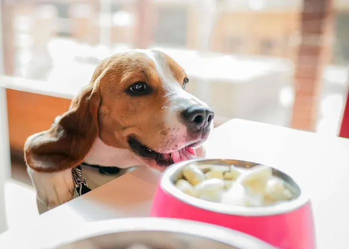 Ibis Mitte 3* Berlín